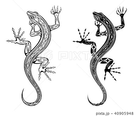 Two Lizardsのイラスト素材