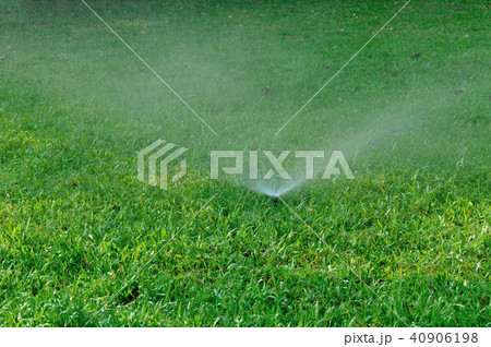 Automatic sprinklers watering grass 40906198