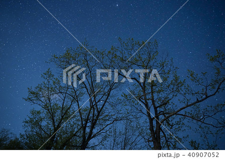 夜空の星 40907052