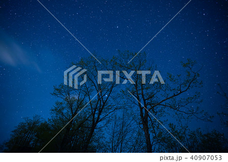 夜空の星 夜空の星 40907053