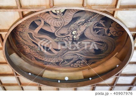 天龍寺塔頭寺院　慈済院　水摺福壽大弁財天の龍図 40907976