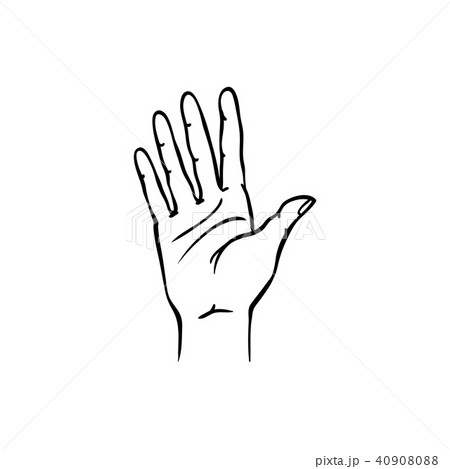 Human hand showing five fingers in sketch style isolated on white background. 40908088