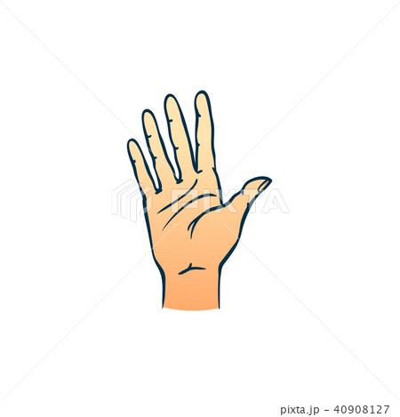 Human hand showing five fingers in sketch style isolated on white background. 40908127