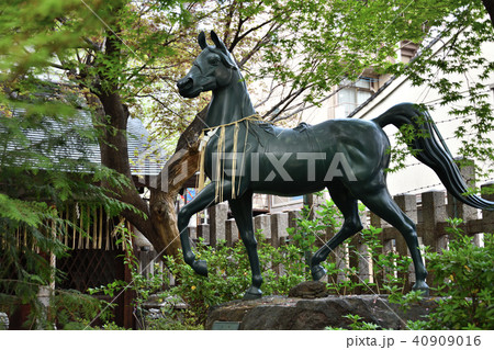 大将軍神社 40909016