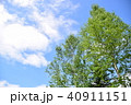 北海道の空と新緑 40911151
