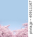 満開の桜 40911167