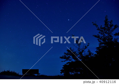 <星空>　南知多　桜公園 40912116