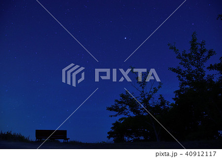 <星空>　南知多　桜公園 40912117