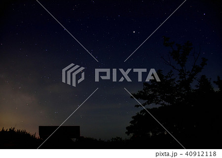 <星空> 南知多 桜公園 <星空> 南知多 桜公園 40912118