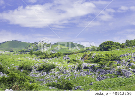 平尾台の美しい景色 40912256