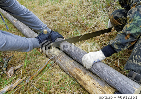 Harvesting firewood for the fire in the taiga 40912361