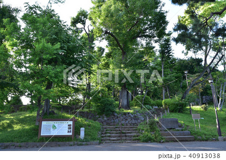 世田谷城阯公園 40913038