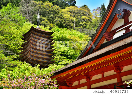 新緑の談山神社 40913732