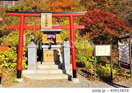 カチカチ山（天上山）展望台のうさぎ神社 40914859