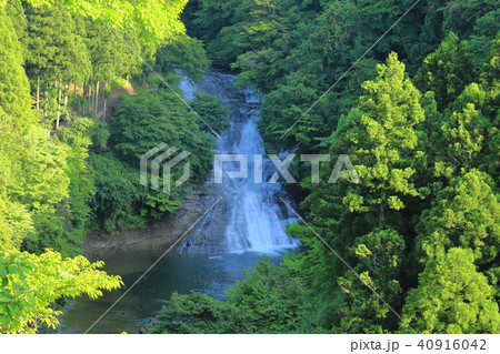 粟又の滝　養老渓谷 40916042