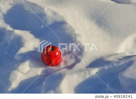 Red apple on snow 40916241