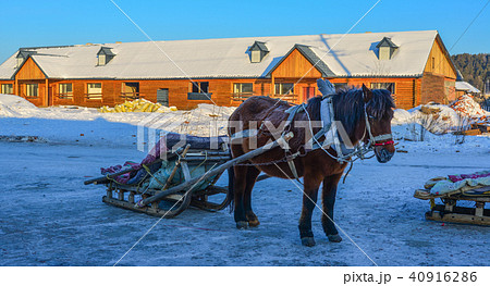 Horse cart in snow village 40916286