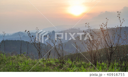 Mountain scenery of Dalat, Vietnam Mountain scenery of Dalat, Vietnam 40916755
