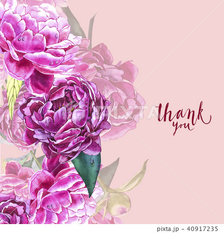 Vintage peony template. Watercolor illustration. Design elements for cards, invitations and textile Vintage peony template. Watercolor illustration. Design elements for cards, invitations and textile 40917235