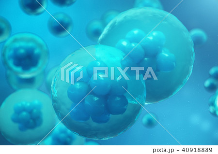 3D Rendering human or animal cells on blue background. Concept Early stage embryo Medicine 3D Rendering human or animal cells on blue background. Concept Early stage embryo Medicine 40918889