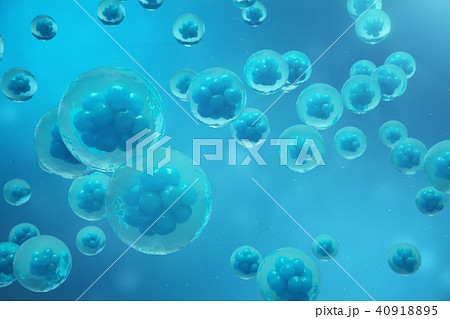 3D Rendering human or animal cells on blue background. Concept Early stage embryo Medicine 3D Rendering human or animal cells on blue background. Concept Early stage embryo Medicine 40918895