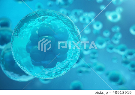 3D Rendering human or animal cells on blue background. Concept Early stage embryo Medicine 3D Rendering human or animal cells on blue background. Concept Early stage embryo Medicine 40918919