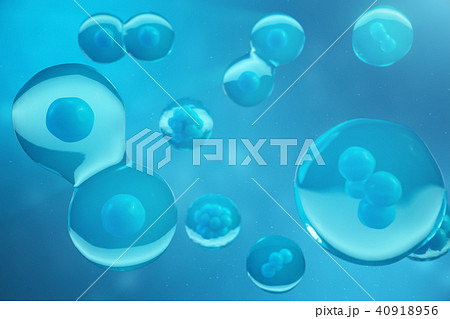 3D Rendering human or animal cells on blue background. Concept Early stage embryo Medicine 40918956