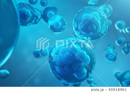 3D Rendering human or animal cells on blue background. Concept Early stage embryo Medicine 40918961