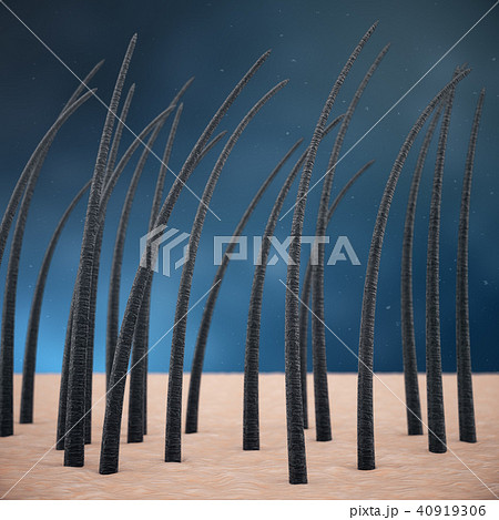 3D Rendering hair keratin strengthening, hair care. Treatment and care of hair. Hair with skin under 40919306