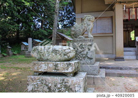 大森宮（なまず神社）の狛犬（福津市） 40920005