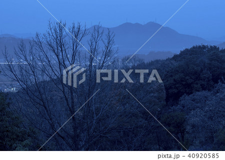 播磨の夜景 夜明け前に(兵庫県加古川市) 播磨の夜景 夜明け前に(兵庫県加古川市) 40920585