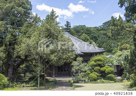寿福寺の仏殿（鎌倉市扇ガ谷） 40921838