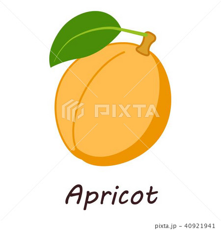 Apricot icon, isometric style 40921941