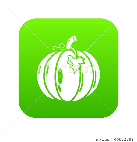 Pumpkin icon green vector 40922288