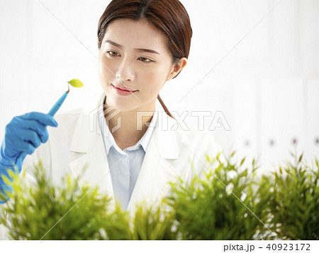 young woman scientist checking the plant 40923172