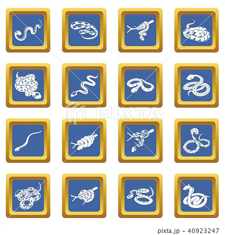 Snake icons set blue square vector Snake icons set blue square vector 40923247