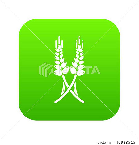 Long-term wheat icon green vector 40923515