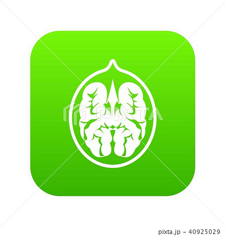 Walnut icon digital green 40925029