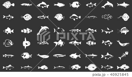 Fish icon set grey vector Fish icon set grey vector 40925845