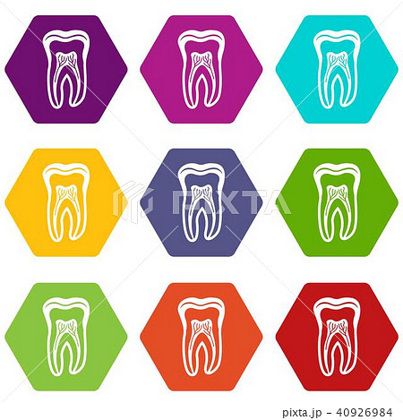 Tooth structure icons set 9 vector 40926984