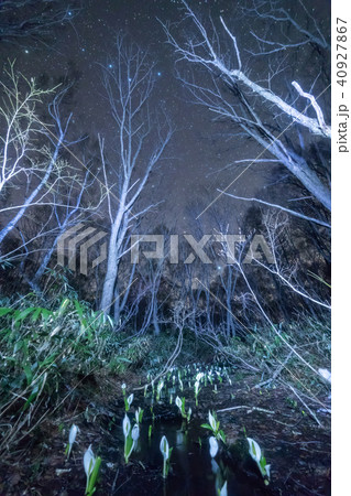 妙高高原笹ヶ峰星空 40927867