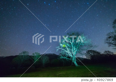 妙高高原笹ヶ峰星空 40927869