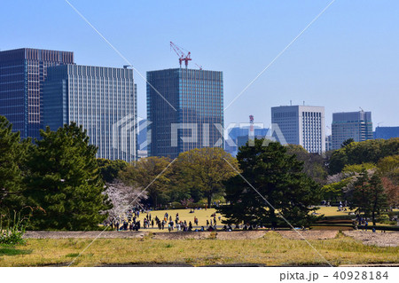 本丸御殿跡×オフィスビル 40928184