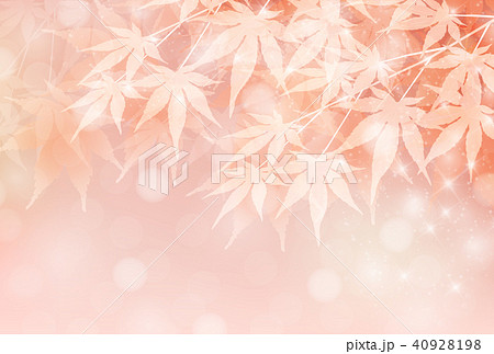 紅葉　もみじ　秋　背景  40928198