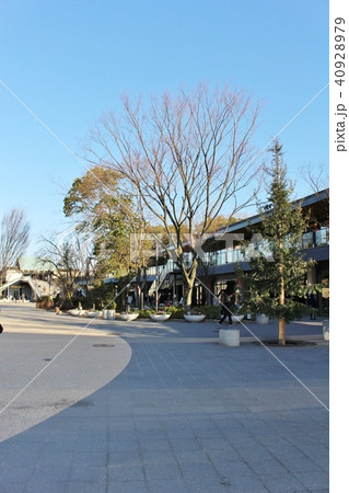 大阪城公園ジョーテラス 40928979