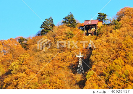 河口湖畔カチカチ山（天上山）の黄葉とカチカチ山ロープウェイ 40929417