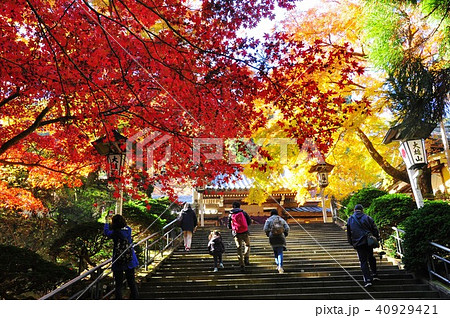 大雄山最乗寺の瑠璃門前石段と紅葉の写真素材