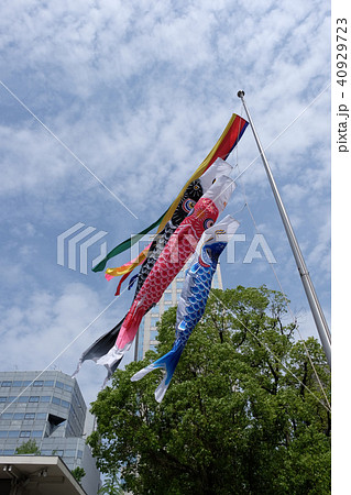 鯉のぼり 40929723