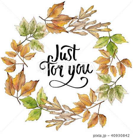 Maple leaf. Leaf plant botanical garden floral foliage. Frame border ornament square. Maple leaf. Leaf plant botanical garden floral foliage. Frame border ornament square. 40930842