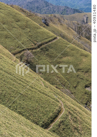 登山道/尾根道 登山道/尾根道 40931480
